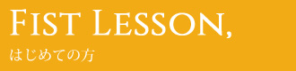 Fist Lesson - はじめての方