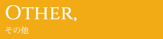 Other - その他